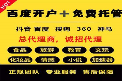 电商行业SEM运营的挑战与成功案例